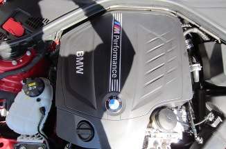 IMG_2591.jpg